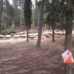 Εορτασμός της Παγκόσμιας ημέρας Προσανατολισμού στο Νομό Σερρών