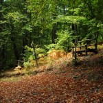 Προκήρυξη Αγώνα στον Χολομώντας-Μπούκα 18/7/15