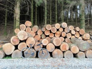 Gwydyr Forest. MB orienteering. Προσανατολισμός με ποδήλατο βουνού.