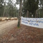 Φωτογραφιες – Σιδηροκαστρο 7/4/2013