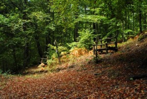 Προκήρυξη Αγώνα στον Χολομώντας-Μπούκα 18/7/15