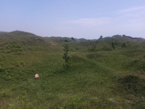 Orienteering in the peninsula of Gower, South Wales, UK