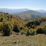 Mountain walking from Vasilitsa (2247 m.) to Avdella (1300 m.).   Ορειβατική διαδρομή Βασιλίτσα (2247μ.) Αβδέλλα (1300 μ.)