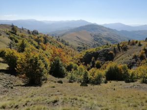 Mountain walking from Vasilitsa (2247 m.) to Avdella (1300 m.).   Ορειβατική διαδρομή Βασιλίτσα (2247μ.) Αβδέλλα (1300 μ.)